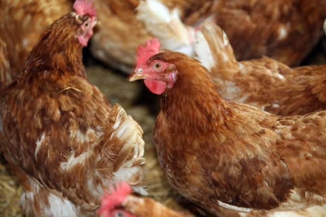 A warning has gone out to poultry owners