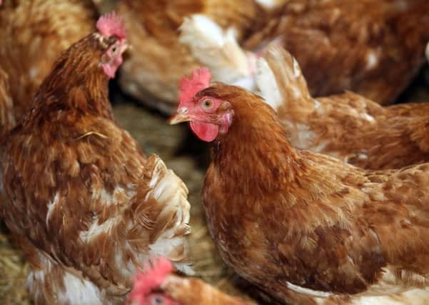 A warning has gone out to poultry owners