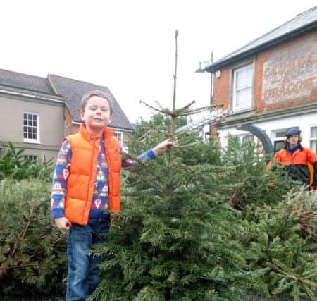 Ruari Eaton, eight, took his familys tree to Westbournes Christmas tree recycling