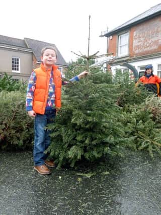 Ruari Eaton, eight, took his familys tree to Westbournes Christmas tree recycling