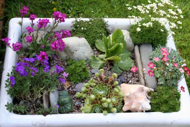 Redundant sinks can be converted into miniature alpine gardens