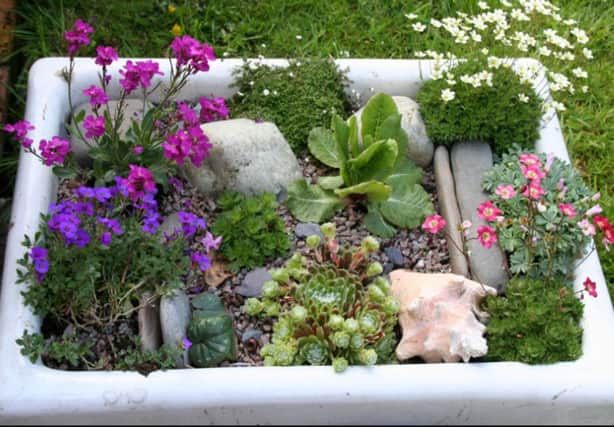 Redundant sinks can be converted into miniature alpine gardens