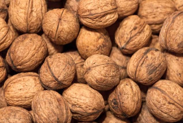 Grow your own walnuts - it will take a decade