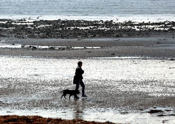 Dogs would be banned from beaches in Gosport borough if a new order is passed