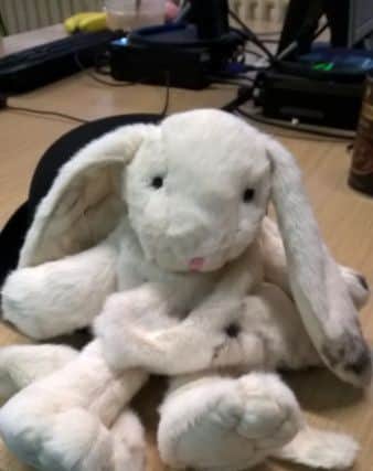 Missing white rabbit found at Havant police station PPP-170117-161701001