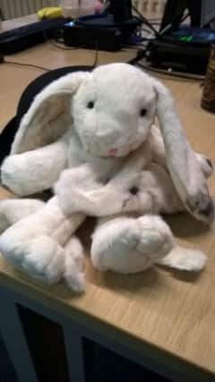 Missing white rabbit found at Havant police station PPP-170117-161701001