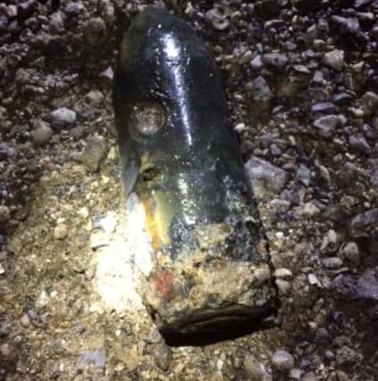 The device was identified as a German SD 50kg bomb, a small armour-piercing bomb dropped from an aircraft   PHOTO: Royal Navy