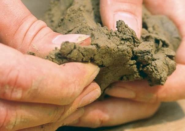 It's hard work but you can turn clay into manageable and fertile soil