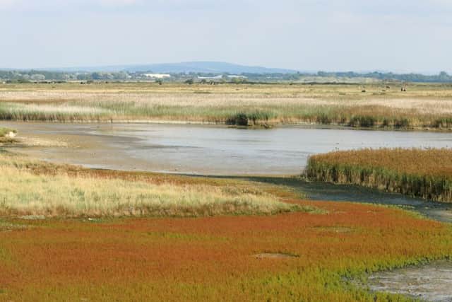 A file photo of Farlington Marshes.
Picture: Graham May