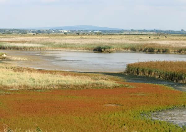 A file photo of Farlington Marshes. 
Picture: Graham May