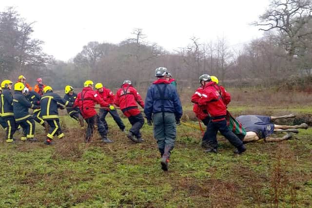 Firefighters pull the sedated horse from the river