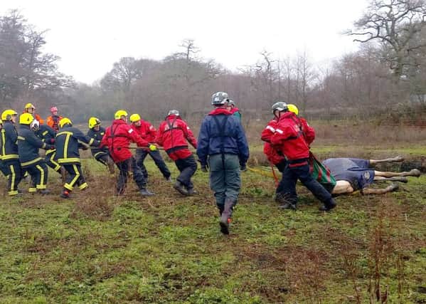 Firefighters pull the sedated horse from the river