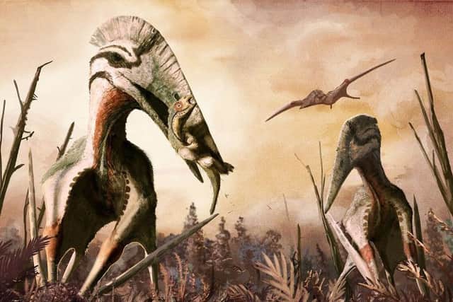 Hatzegopteryx, depicted here as a short-necked, powerful predator, consumes the dwarfed dinosaur Zalmoxes in Late Cretaceous Romania Picture: University of Portsmouth