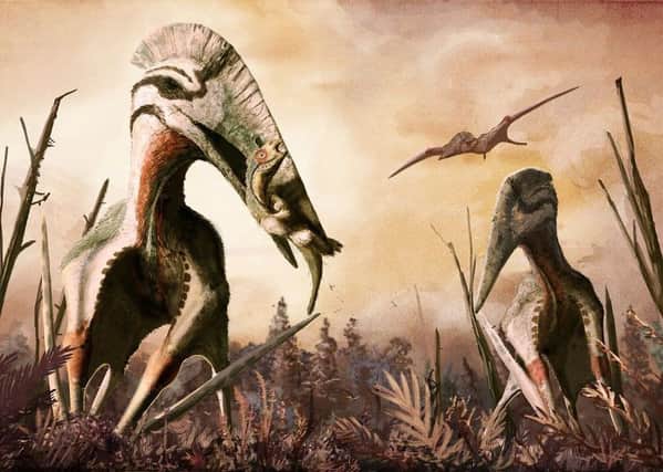 Hatzegopteryx, depicted here as a short-necked, powerful predator, consumes the dwarfed dinosaur Zalmoxes in Late Cretaceous Romania Picture: University of Portsmouth