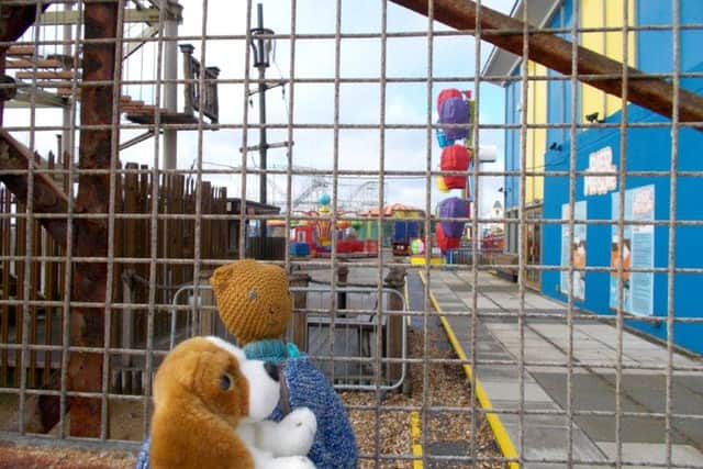 Elaine Willoughby's picture of Ted by South Parade Pier