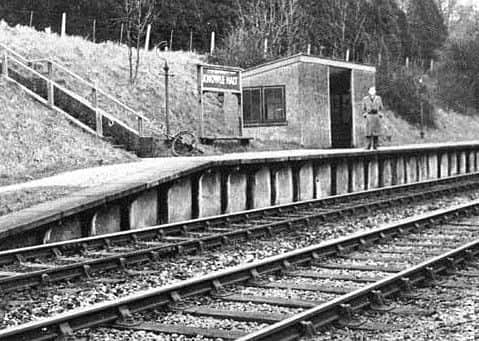 Knowle Halt