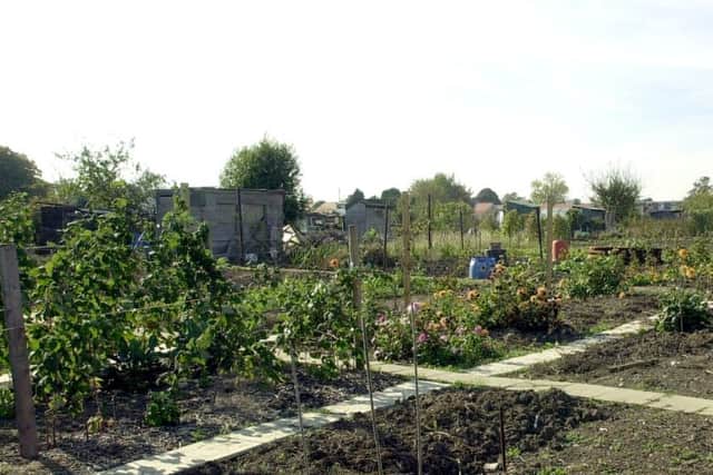 The Middlecroft allotments  in Gosport