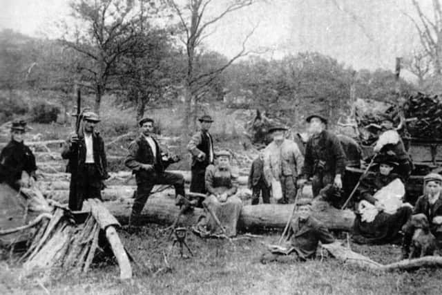 TREES Men stripping oak bark in Southleigh Forest for the tanning industry