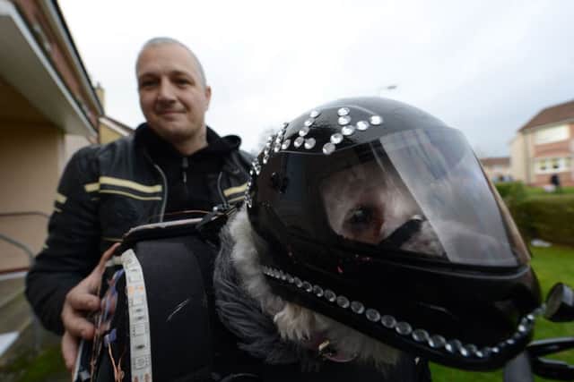 Milly, a Bichon Frise, dons the gear and hops into her specialised travel bag on her owner's bike when they go on adventures.