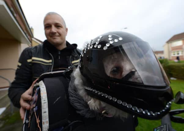Milly, a Bichon Frise, dons the gear and hops into her specialised travel bag on her owner's bike when they go on adventures.