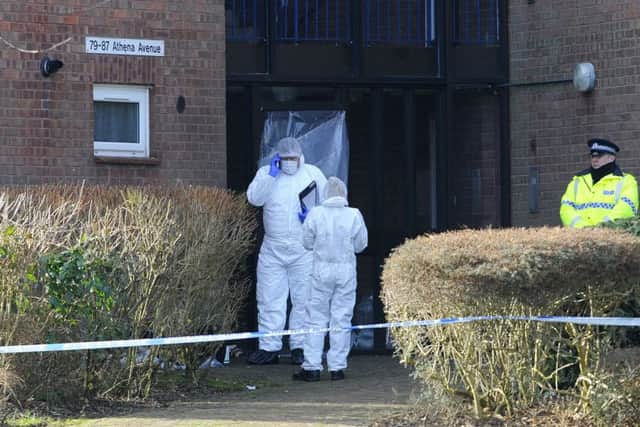 Police in Athena Avenue, Crookhorn