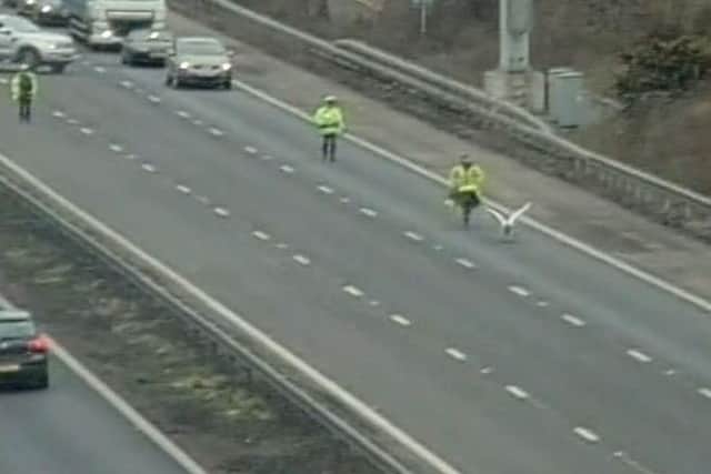 Credit: Highways England/Twitter