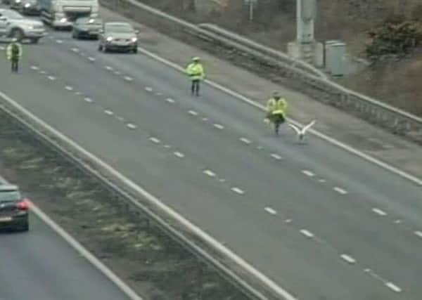 Credit: Highways England/Twitter