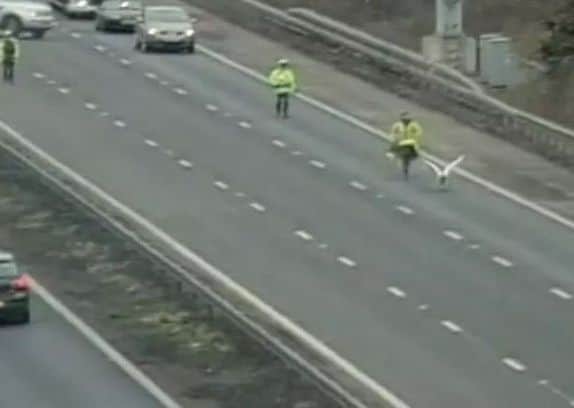 Credit: Highways England