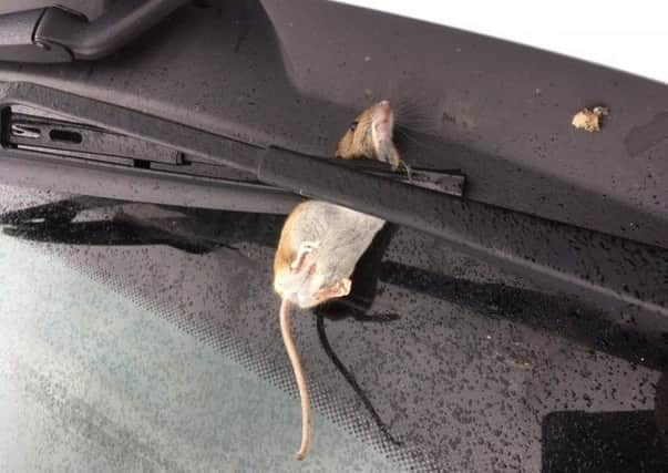 Clare Astbury was in for a nasty shock when she came back to her car after visiting West Wittering Beach yesterday