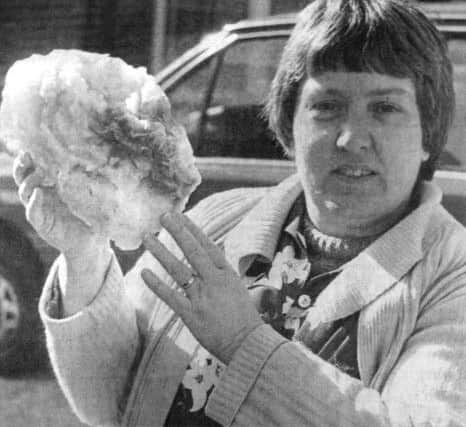 Jennifer Galvin, of Woodfield Avenue, pictured with a chunk of the fallen ice, claimed it could have killed anyone unlucky enough to be under it (B33711-1)