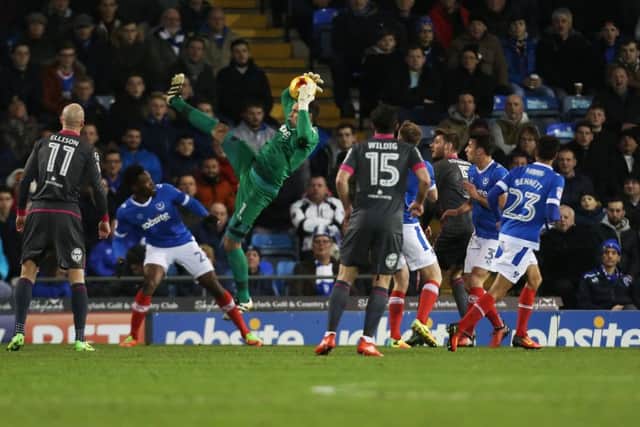 David Forde. Picture: Joe Pepler