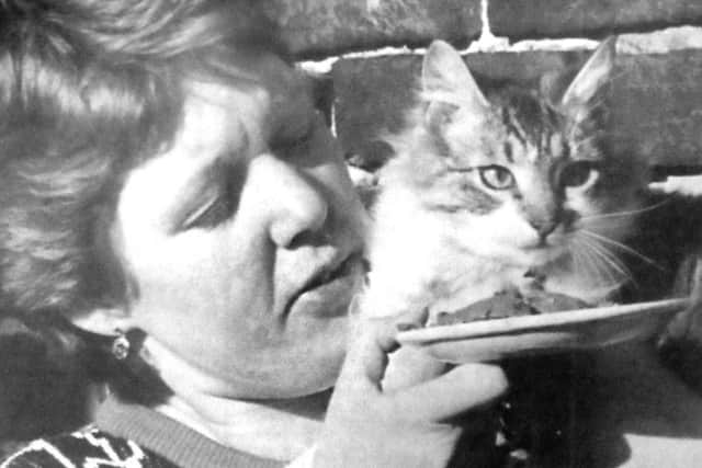 Thanks to the kindness of Caroline and the charities which came to their rescue, a family of stray cats was saved from starvation (B4853-1)