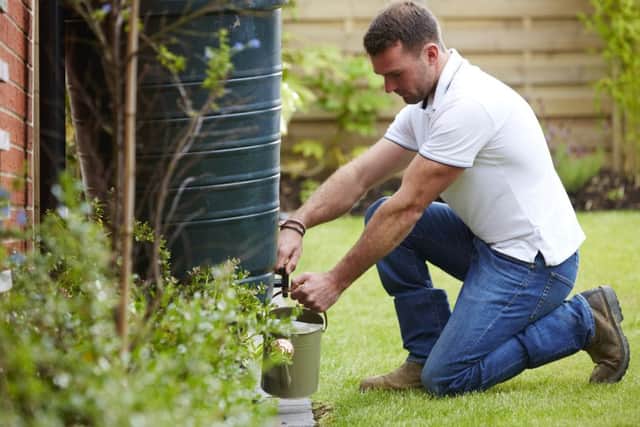 Spring is the best time to fix up your garden
