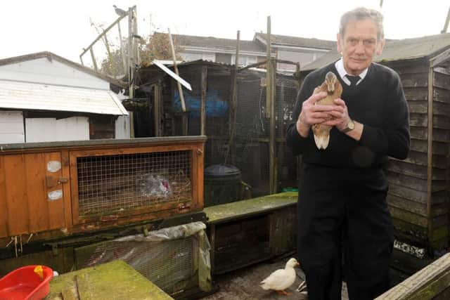 Reginald Durnell, 71, from Purbrook, feels he is being victimised by Havant Borough Council due to an increase in rodents in the area.Picture: Sarah Standing (170392-4236)
