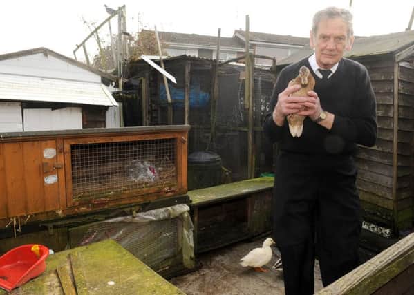 Reginald Durnell, 71, from Purbrook, feels he is being victimised by Havant Borough Council due to an increase in rodents in the area.

Picture: Sarah Standing (170392-4236)
