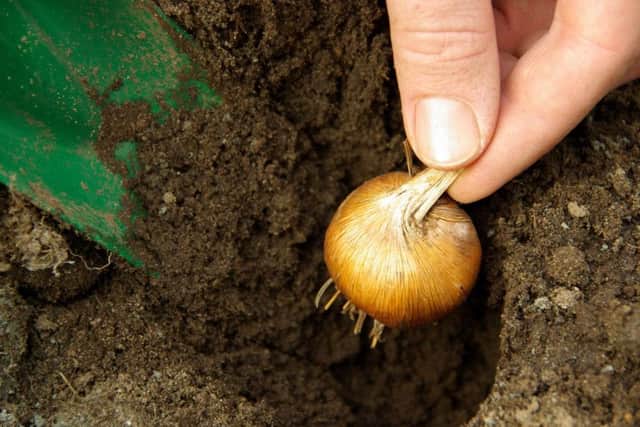 The group is encouraging more young people to get gardening