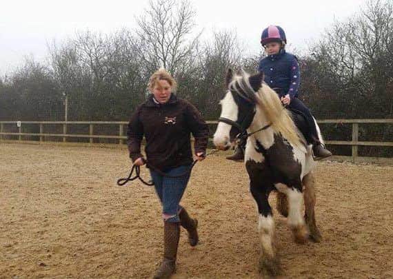Rosie the horse was one of those rescued by the RSPCA when a Portsmouth horse trader failed to seek vetinary treatment for the sick animals in his care. Picture: RSPCA