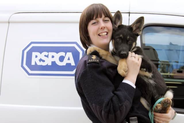 Nearly 150,000 complaints about animal cruelty were made to the RSPCA last year