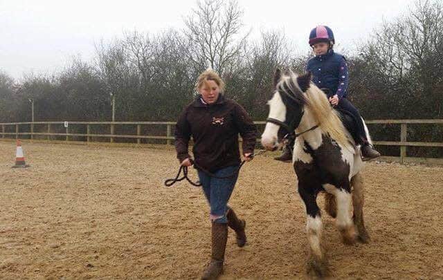 Rosie the horse. Picture: RSPCA