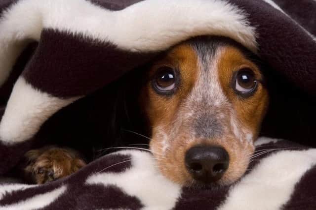 Alabama Rot warning SUS-170331-151829001