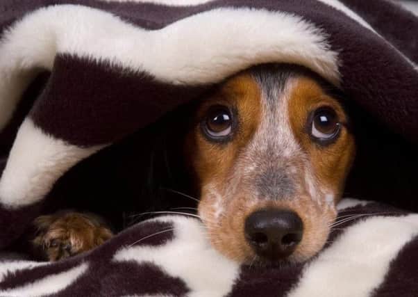 Alabama Rot warning SUS-170331-151829001