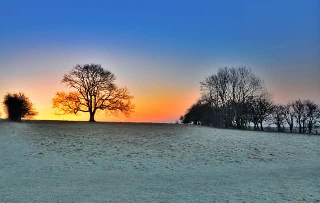 It might be spring but we could still get frosts like this one shot on Butser Hill by reader Mark Edgehill