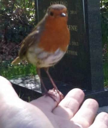 Picture: Marie Robinson/Facebook