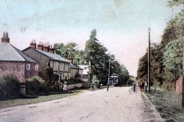 A pleasant scene from 110 years ago: looking south along Portsmouth Road at Horndean in 1907.