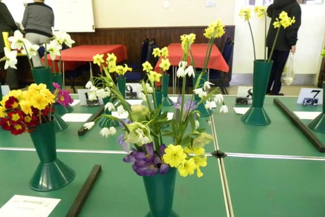 Flowers at the Spring Show exhibition at Lee-on-the-Solent Community Centre. The Spring Show had 44 exhibitors who entered 154 exhibits. CAPTION: Flowers at the Spring Show exhibition