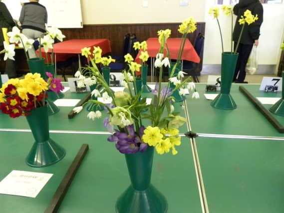 Flowers at the Spring Show exhibition at Lee-on-the-Solent Community Centre. The Spring Show had 44 exhibitors who entered 154 exhibits. CAPTION: Flowers at the Spring Show exhibition