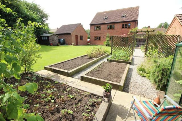 Rotation is the way to successful veg growing. Raised beds make it even better.