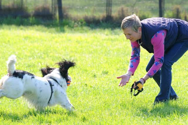 Annabelle Ryan with her springer spaniel Ollie. Picture: Sarah Standing (170471-9213)