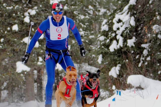 DOG POWER by Kale Casey and Jordan Shevene