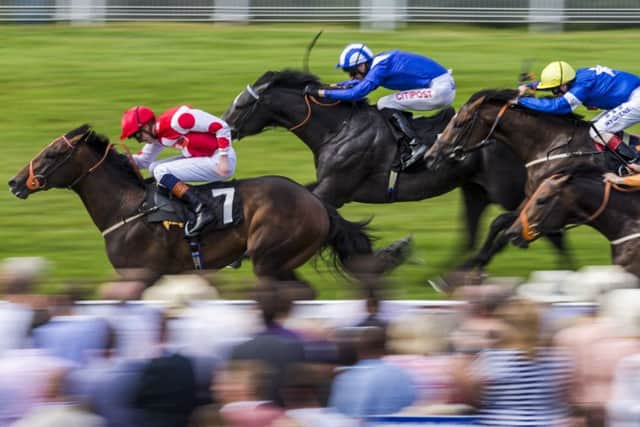 Goodwood's racing season starts on May 6 Picture: Chris Ison